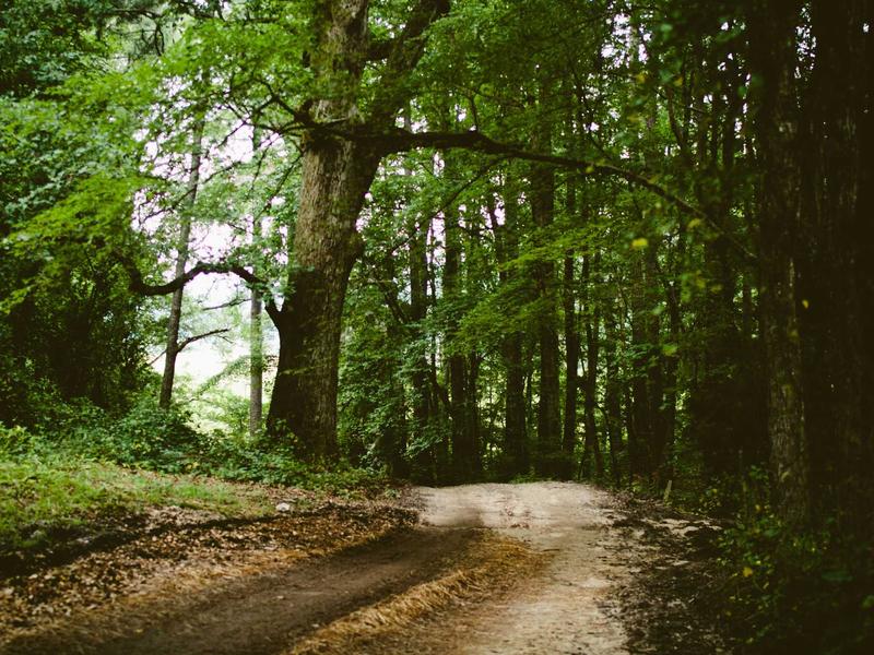 sudoku mind game screenshot 5